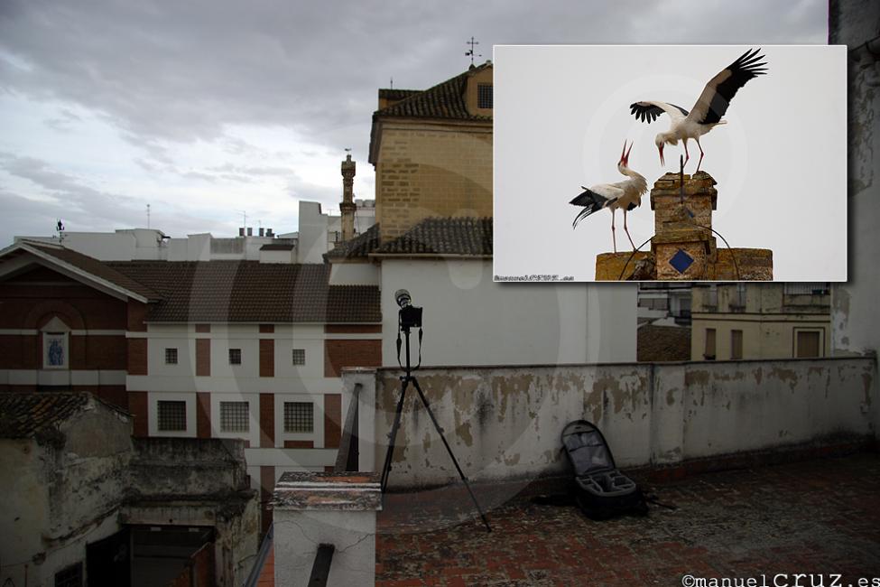 Imagen 21 de la galería de 